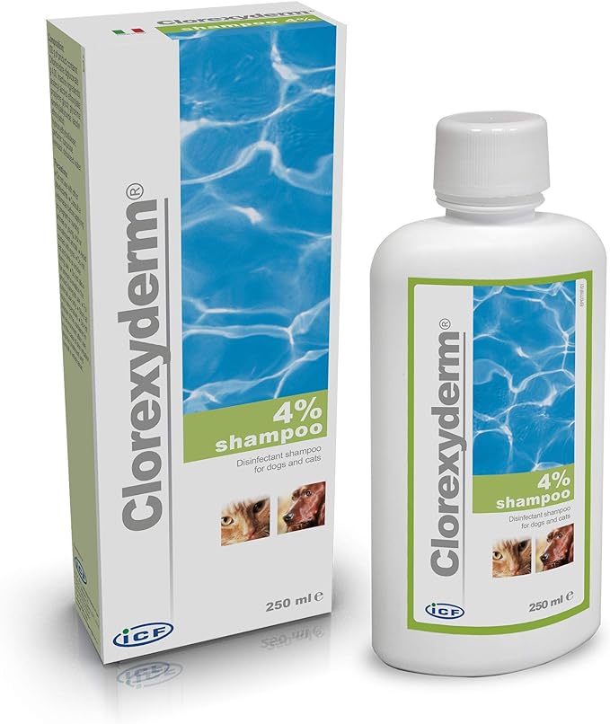 Clorexyderm ICF Shampoo - 250 Ml