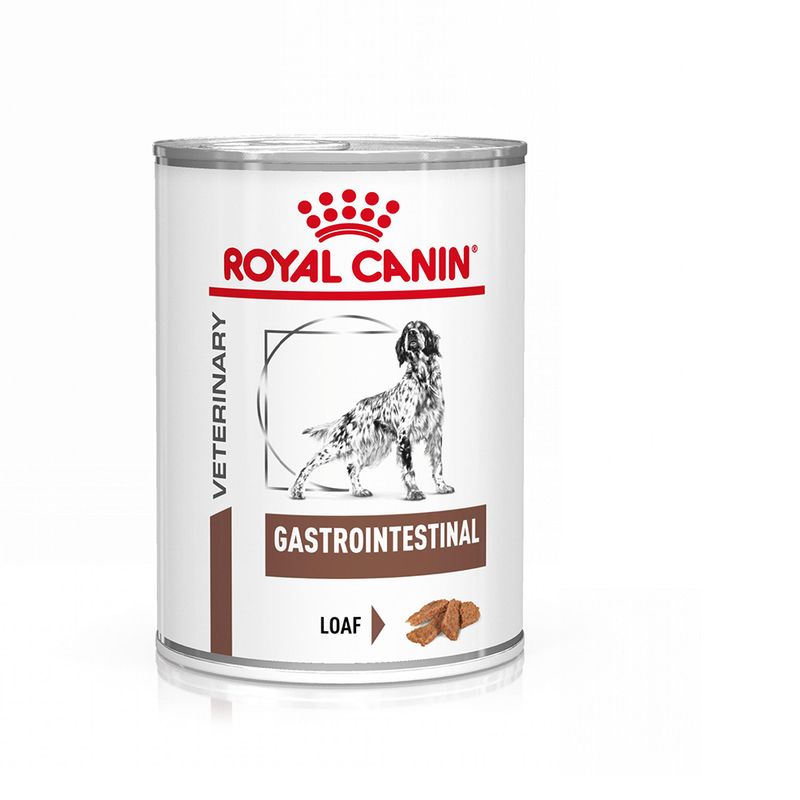 Royal Canin Canine Gastrointestinal Veterinary Patè umido per cani